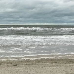 Meet your Posher, Arley